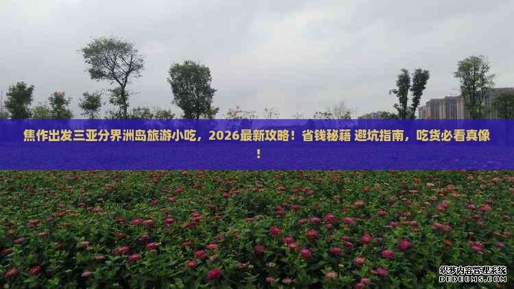 拿下近20%份额 竞争让网民受益